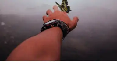 Capture d'écran de vimage 6