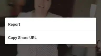 Capture d'écran de InstaSniper 2