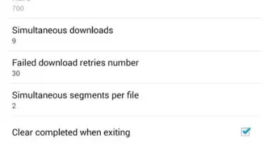 Capture d'écran de Advanced Downloader for Mega 3