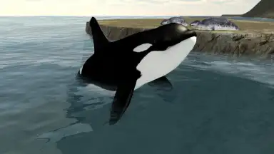 Capture d'écran de Orca Simulator 6