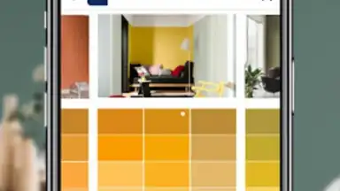 Capture d'écran de Dulux Visualizer IN 4