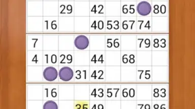 Capture d'écran de Loto Online 1