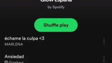 Capture d'écran de Spotify Lite 10
