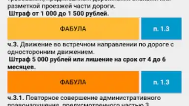 Capture d'écran de Памятка сотруднику ДПС ГИБДД 4