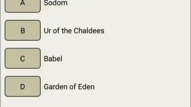 Capture d'écran de The bible quiz game 7