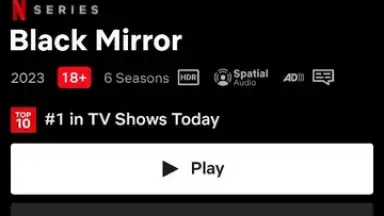 Capture d'écran de Netflix (Android TV) 5