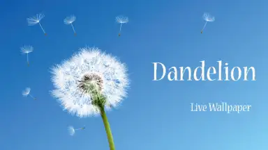 Capture d'écran de Dandelion 4