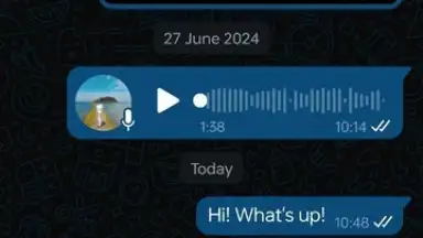 Capture d'écran de WhatsApp Business 10