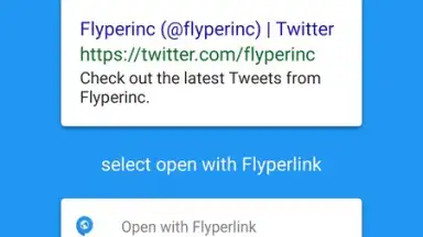 Capture d'écran de Flyperlink 8