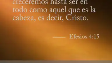Capture d'écran de Biblia Diaria 2