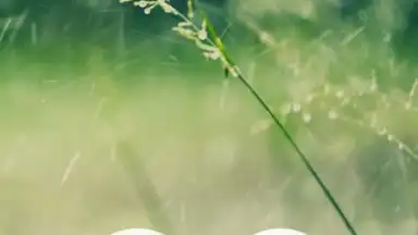 Capture d'écran de Meditation Music Metapps 6
