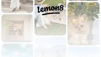 Capture d'écran de Lemon8 7