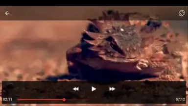 Capture d'écran de Youtube Play&Download 5