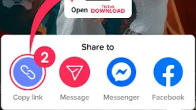 Capture d'écran de Downloader for TikTok 7