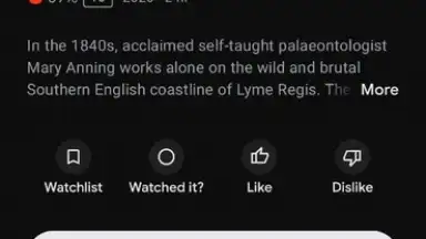 Capture d'écran de Google TV 6