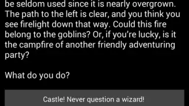 Capture d'écran de Medieval Fantasy RPG 8