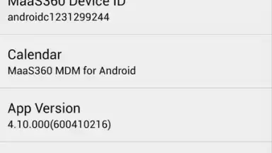 Capture d'écran de MaaS360 MDM for Android 4