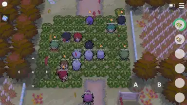 Capture d'écran de PokeMMO 3