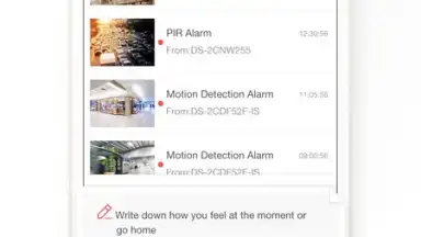 Capture d'écran de Hik-Connect 6