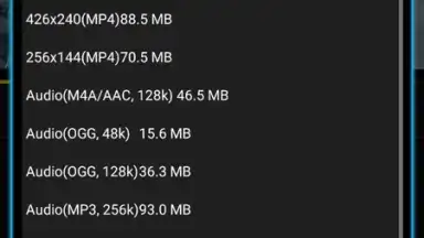 Capture d'écran de TubeMate YouTube Downloader 17