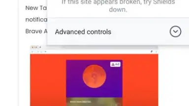 Capture d'écran de Brave Browser (Beta) 4