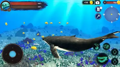 Capture d'écran de The Humpback Whales 24