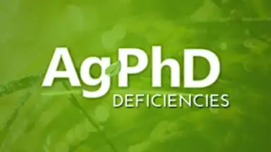 Capture d'écran de Ag PhD Deficiencies 3