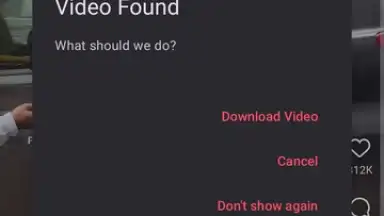 Capture d'écran de VidMad Video Downloader 2