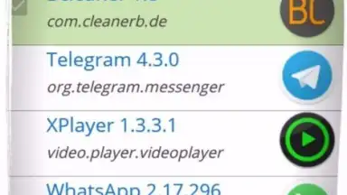 Capture d'écran de APK Backup(Pro) 8