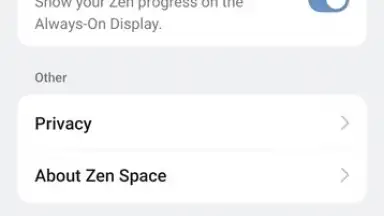 Capture d'écran de Zen Space 13