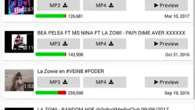 Capture d'écran de YT3 Music Downloader 11
