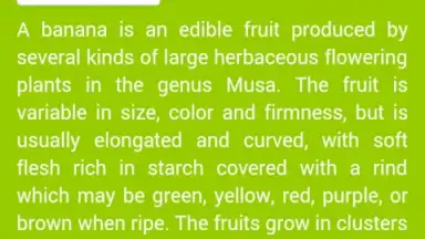 Capture d'écran de Food Dictionary 3