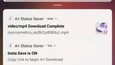 Capture d'écran de A+ Status Saver 1