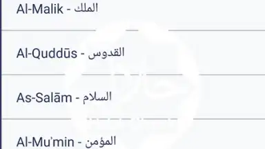Capture d'écran de Halal Check 1
