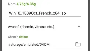 Capture d'écran de IDM (internet download menager) 3