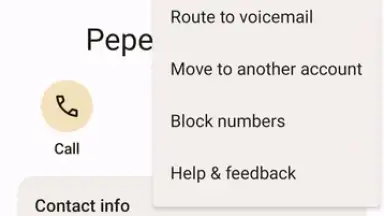 Capture d'écran de Phone by Google 9