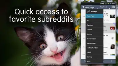 Capture d'écran de BaconReader for Reddit 3