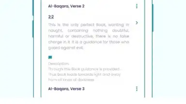 Capture d'écran de The Holy Quran - English 3