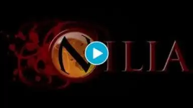 Capture d'écran de Nilia - Roguelike dungeon crawler RPG 1