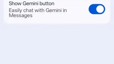 Capture d'écran de Google Messages 20