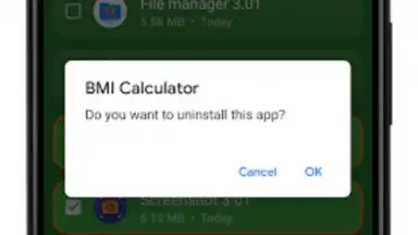 Capture d'écran de Uninstaller 6