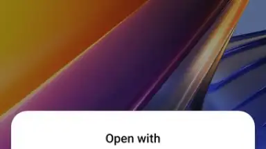 Capture d'écran de Package installer Google 1