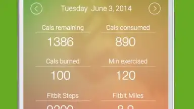 Capture d'écran de My Diet Diary Calorie Counter 7