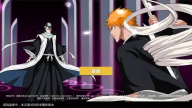 Capture d'écran de Bleach Realm: Soul Slayer 1