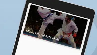 Capture d'écran de Ultimate MMA Fighting Program 6
