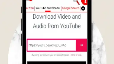 Capture d'écran de Instant GO videos & audios downloader 4