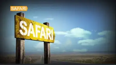 Capture d'écran de Safari 3