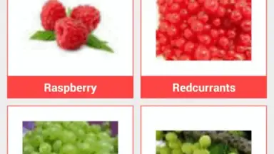 Capture d'écran de Food Dictionary 4
