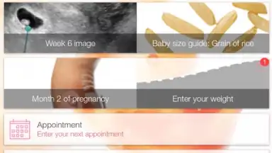 Capture d'écran de Pregnancy + 10