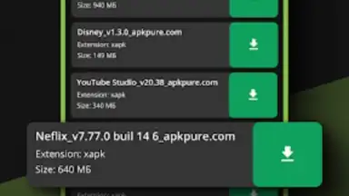 Capture d'écran de XAPK Installer 3